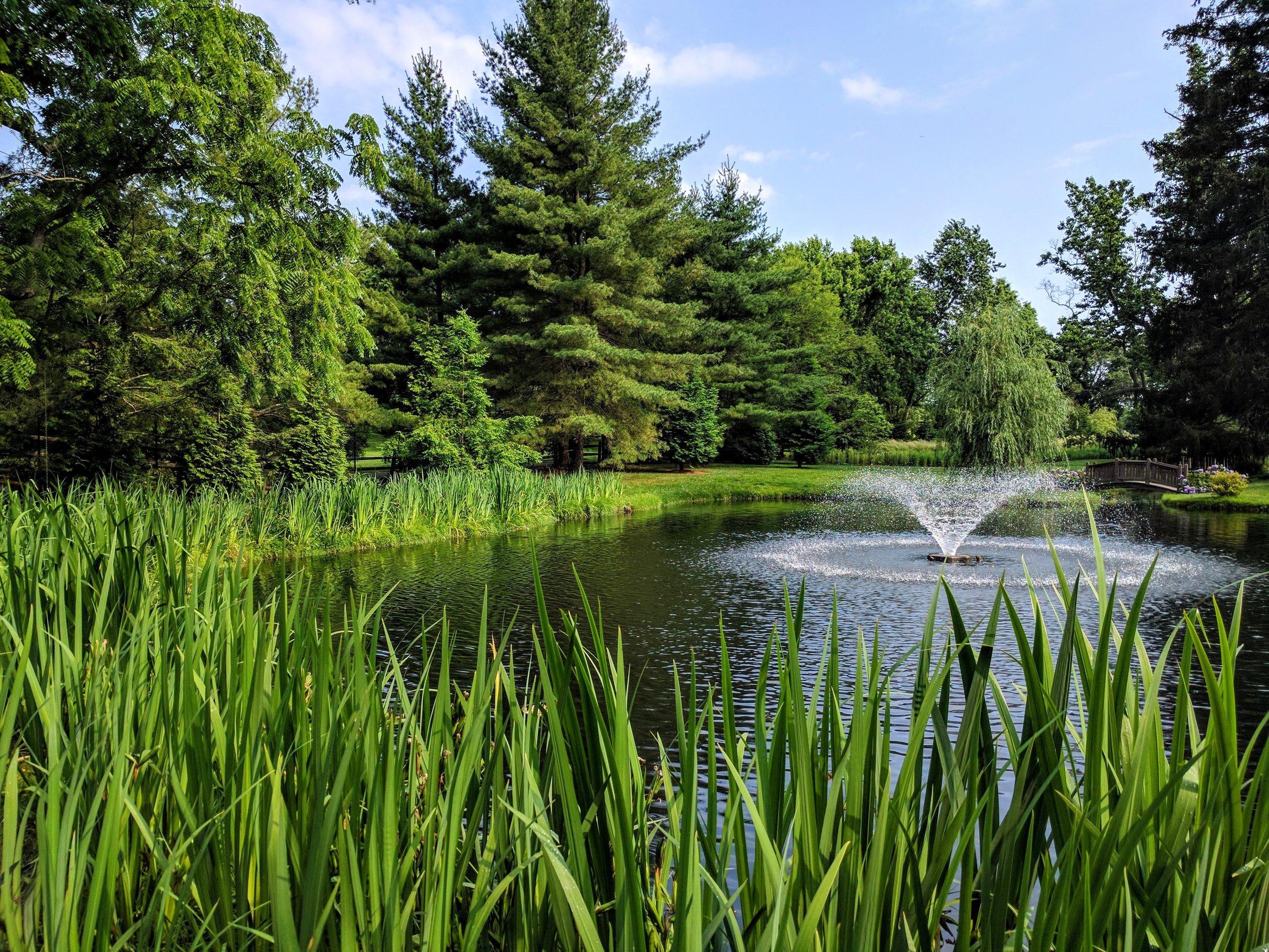 Greenville Estate
