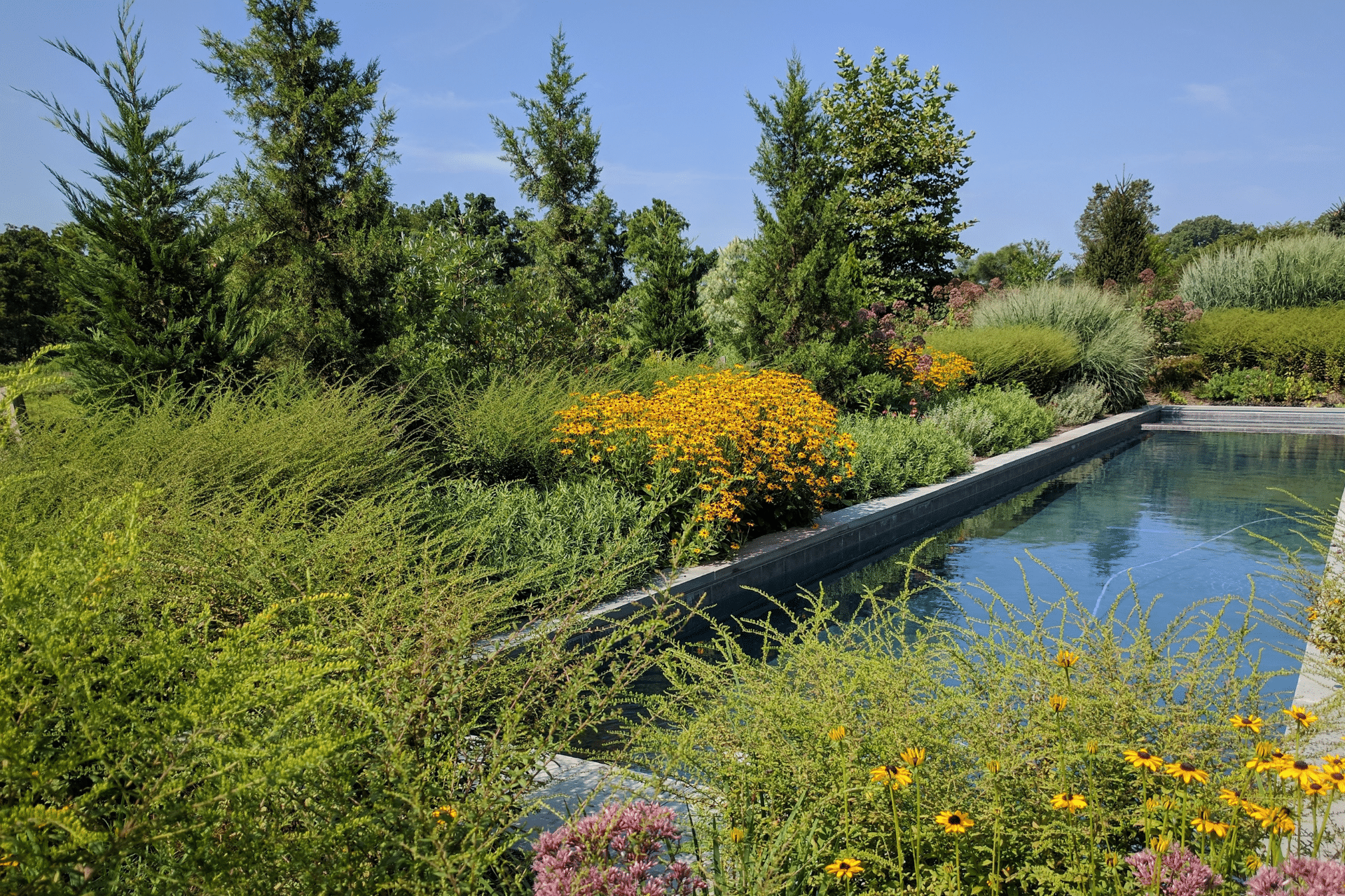 Newlin Lap Pool
